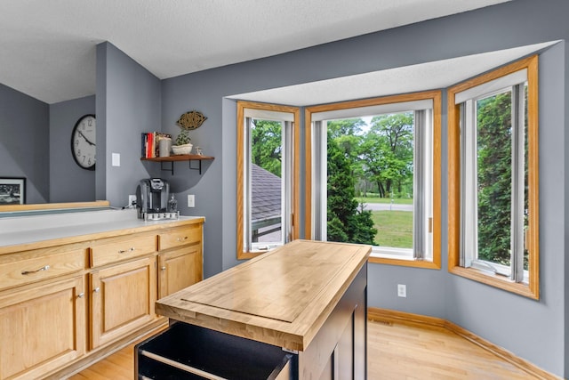 2308 Crosstown Blvd NE, Ham Lake, MN 55304 - kitchen with light wood-type flooring, light brown cabinets, plenty of natural light, and butcher block counters