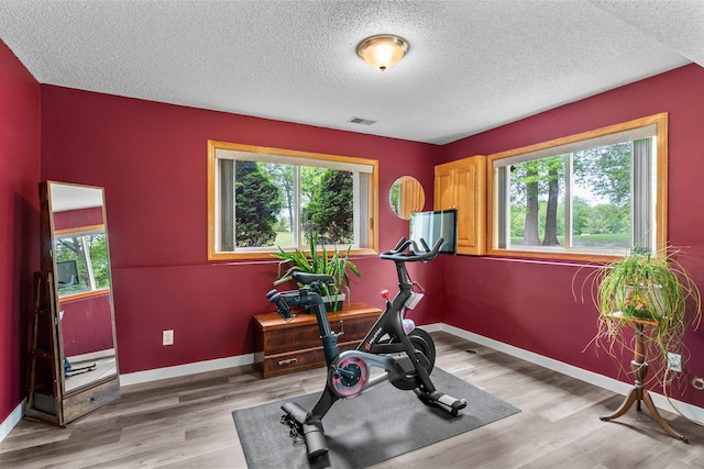 2308 Crosstown Blvd NE, Ham Lake, MN 55304 - workout area featuring healthy amount of natural light, a textured ceiling, light wood-style floors, and baseboards