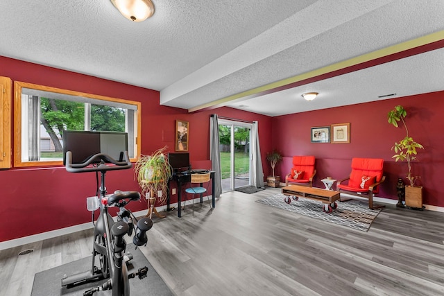 2308 Crosstown Blvd NE, Ham Lake, MN 55304 - workout room featuring healthy amount of natural light, wood finished floors, baseboards, and a textured ceiling
