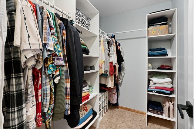 spacious closet featuring carpet flooring
