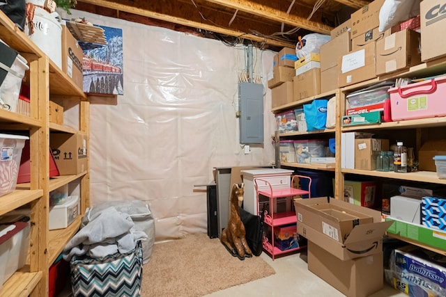 storage featuring electric panel