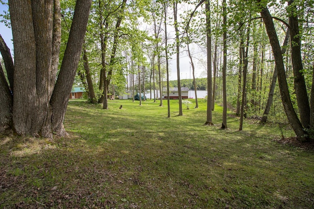 7528 Little Thunder Dr NE, Remer, MN 56672 - view of green lawn featuring a water view