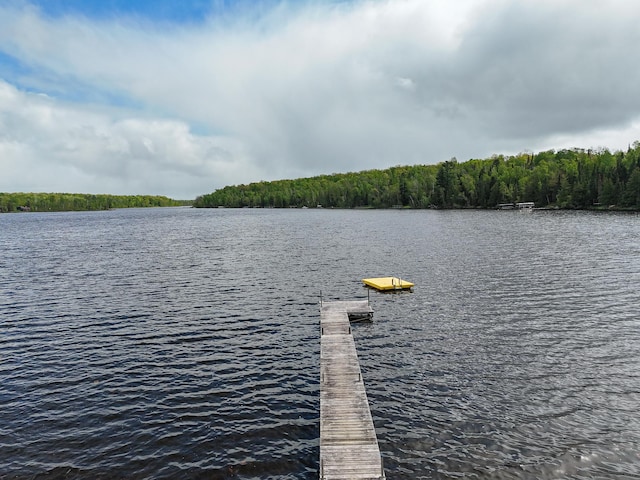 7528 Little Thunder Dr NE, Remer, MN 56672 - dock featuring a water view and a forest view