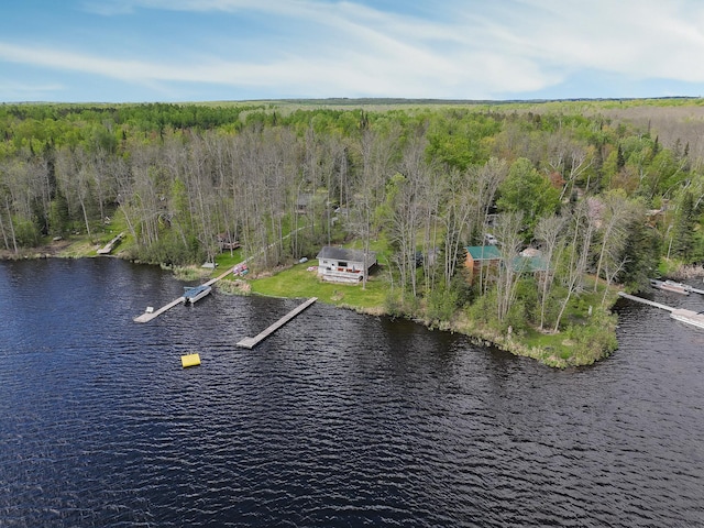 7528 Little Thunder Dr NE, Remer, MN 56672 - aerial view of a forest and a large body of water