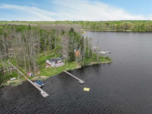 7528 Little Thunder Dr NE, Remer, MN 56672 - bird's eye view of a nearby body of water and a heavily wooded area