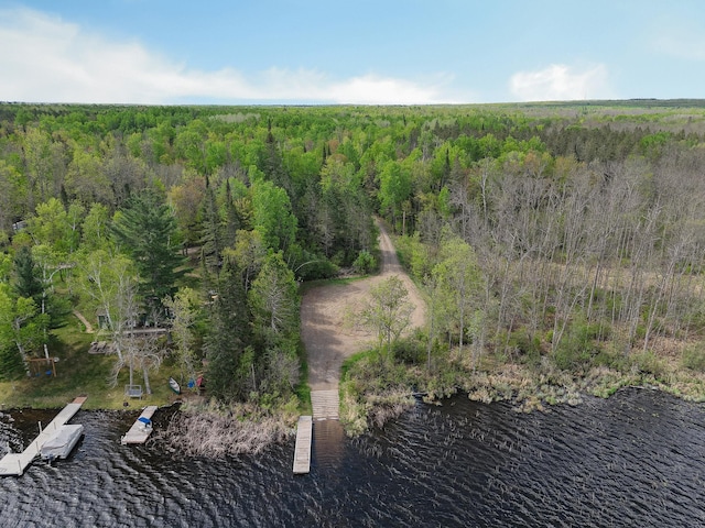 7528 Little Thunder Dr NE, Remer, MN 56672 - bird's eye view of a forest and a large body of water