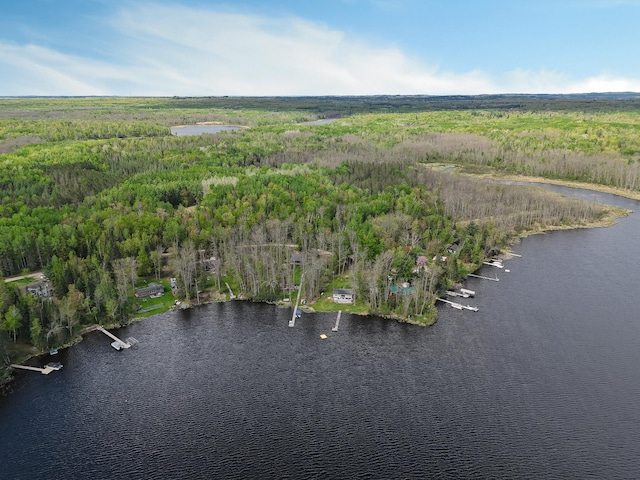 7528 Little Thunder Dr NE, Remer, MN 56672 - bird's eye view of a nearby body of water and a heavily wooded area