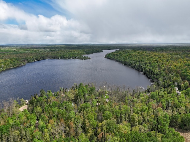 7528 Little Thunder Dr NE, Remer, MN 56672 - bird's eye view of a forest and a large body of water