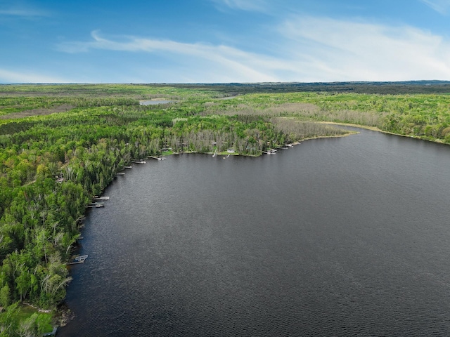 7528 Little Thunder Dr NE, Remer, MN 56672 - drone / aerial view of a large body of water and a heavily wooded area