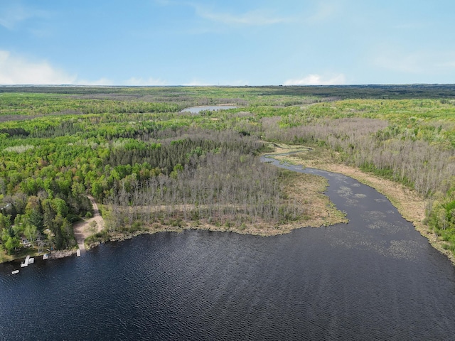 7528 Little Thunder Dr NE, Remer, MN 56672 - bird's eye view of a nearby body of water and a forest