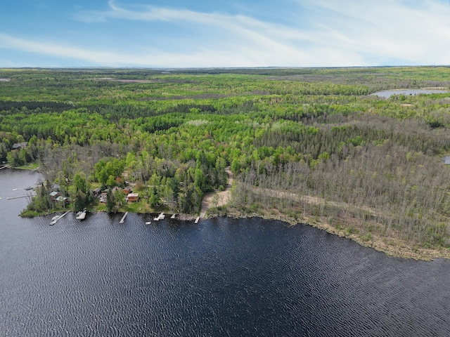 7528 Little Thunder Dr NE, Remer, MN 56672 - aerial view of property and surrounding area with a heavily wooded area and a large body of water