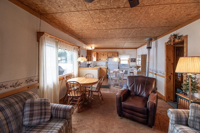 7528 Little Thunder Dr NE, Remer, MN 56672 - view of carpeted living room