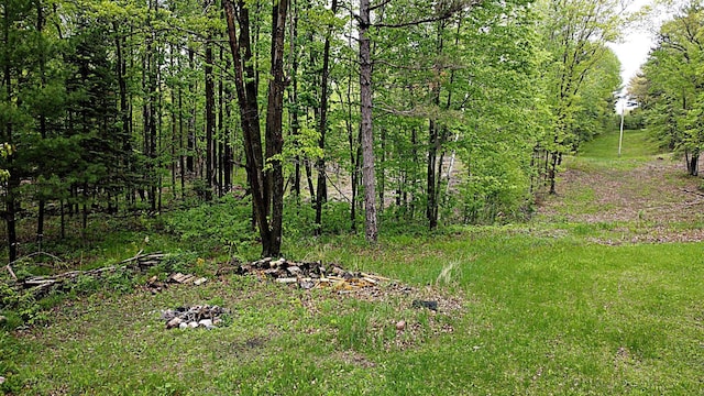 36974 320th St, Aitkin, MN 56431 - view of nature