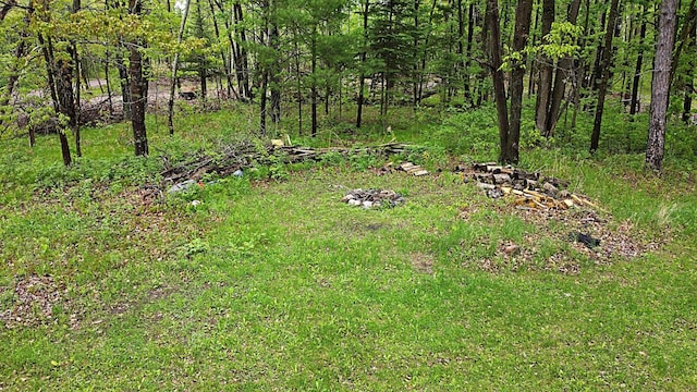 36974 320th St, Aitkin, MN 56431 - view of yard