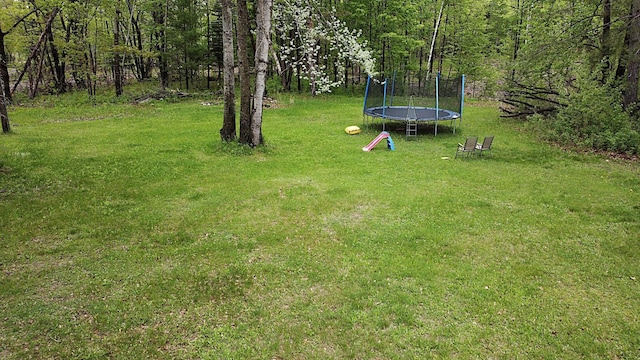 36974 320th St, Aitkin, MN 56431 - view of green lawn featuring a trampoline