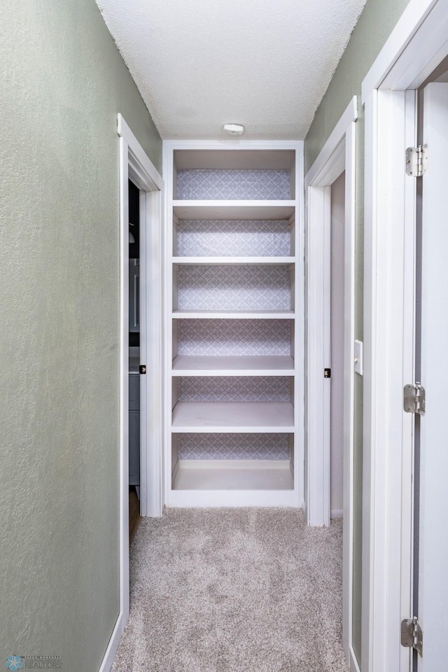 hall featuring carpet floors and built in features