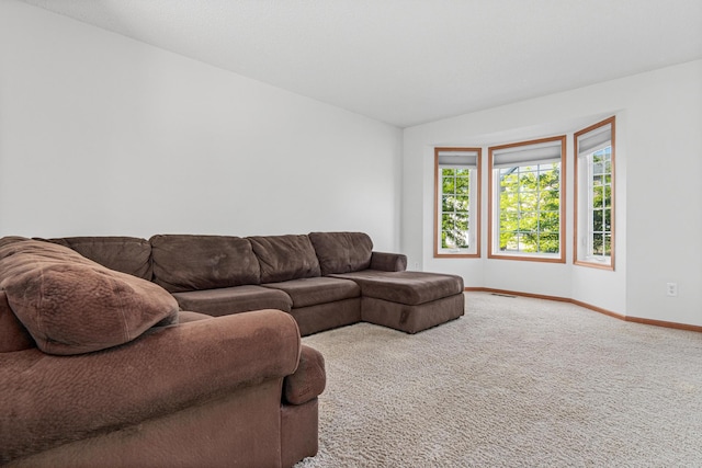 4947 Emmit Dr N Unit 4, Hugo, MN 55038 - carpeted living room featuring baseboards and lofted ceiling