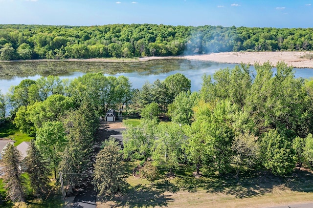 water view featuring a forest