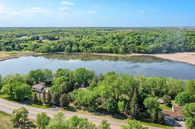 bird's eye view of a forest and a large body of water