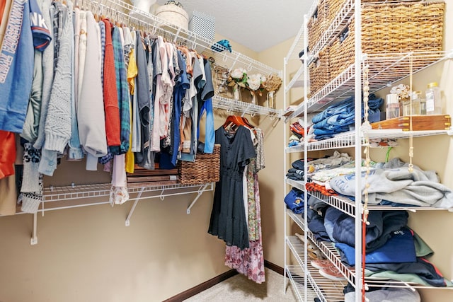 805 Cologne Ln, Waverly, MN 55390 - spacious closet with carpet flooring