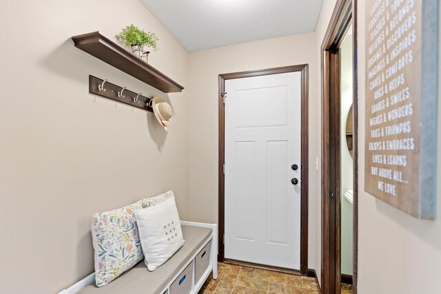 805 Cologne Ln, Waverly, MN 55390 - entryway with stone finish flooring and a textured ceiling