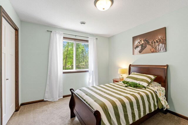 805 Cologne Ln, Waverly, MN 55390 - carpeted bedroom with baseboards