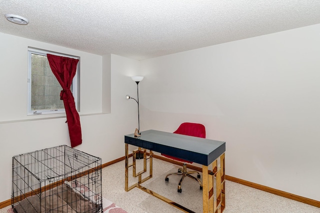 5921 200th St W, Farmington, MN 55024 - carpeted office with a textured ceiling and baseboards