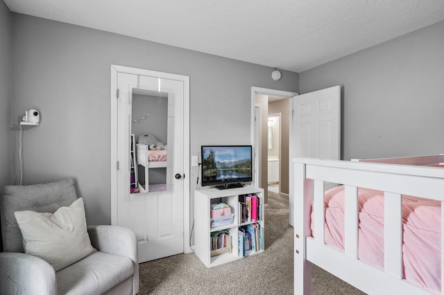 1002 8th Ave N, Princeton, MN 55371 - carpeted bedroom with a textured ceiling