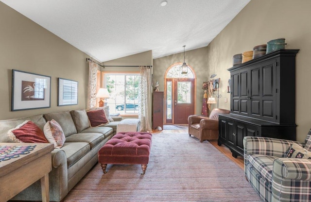 11419 17th St NE, Saint Michael, MN 55376 - living room with lofted ceiling, light wood finished floors, and a textured ceiling