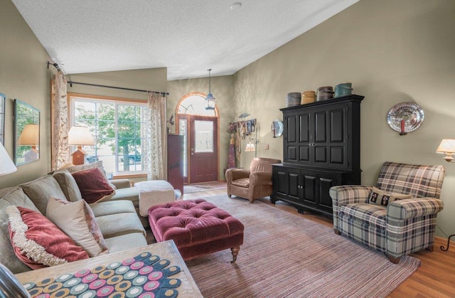 11419 17th St NE, Saint Michael, MN 55376 - living area featuring lofted ceiling, wood finished floors, and a textured ceiling