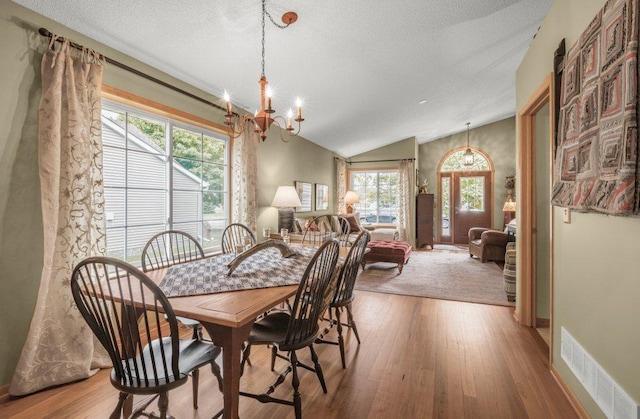 11419 17th St NE, Saint Michael, MN 55376 - dining space with a chandelier, hardwood / wood-style flooring, plenty of natural light, and vaulted ceiling
