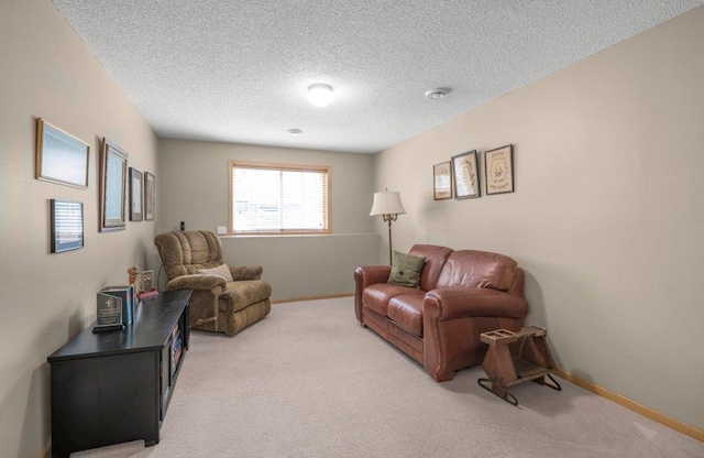 11419 17th St NE, Saint Michael, MN 55376 - living area featuring light colored carpet, a textured ceiling, and baseboards