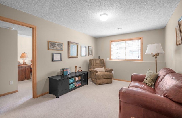 11419 17th St NE, Saint Michael, MN 55376 - living room featuring light carpet, a textured ceiling, and baseboards