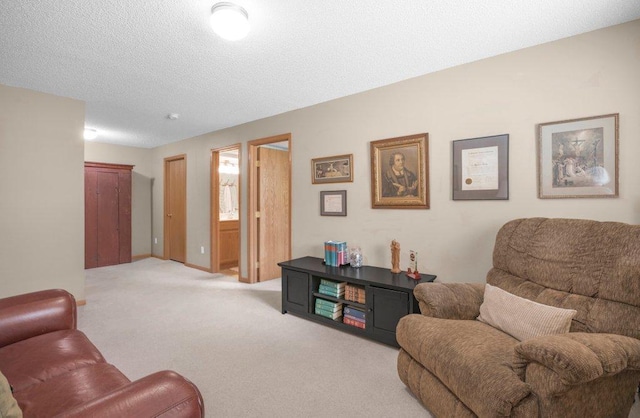 11419 17th St NE, Saint Michael, MN 55376 - living area featuring light carpet and a textured ceiling