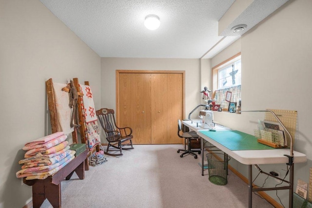 11419 17th St NE, Saint Michael, MN 55376 - office area featuring carpet and a textured ceiling