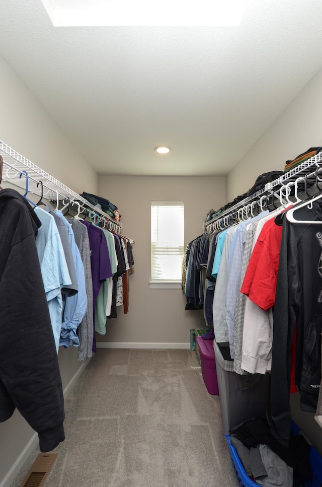 304 Rum River Way, Anoka, MN 55303 - spacious closet with carpet