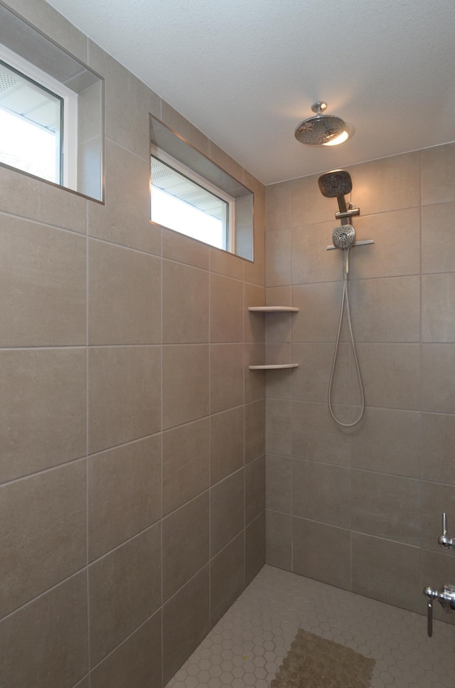 304 Rum River Way, Anoka, MN 55303 - bathroom with tiled shower
