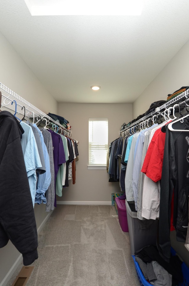 304 Rum River Way, Anoka, MN 55303 - spacious closet with carpet flooring