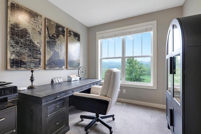 14778 50th St NE, Saint Michael, MN 55376 - carpeted office featuring baseboards