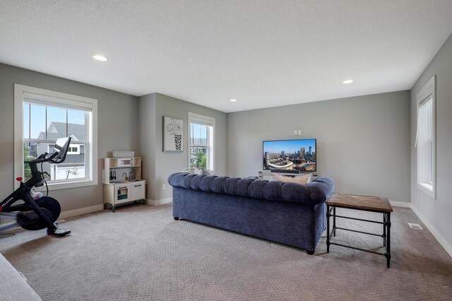 14778 50th St NE, Saint Michael, MN 55376 - carpeted living area with baseboards and recessed lighting