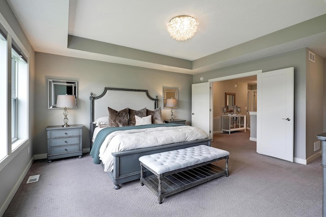 14778 50th St NE, Saint Michael, MN 55376 - carpeted bedroom with baseboards, multiple windows, and a raised ceiling