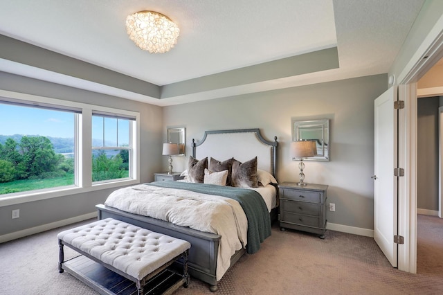 14778 50th St NE, Saint Michael, MN 55376 - bedroom with carpet flooring, baseboards, and a tray ceiling
