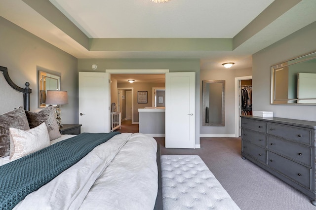 14778 50th St NE, Saint Michael, MN 55376 - carpeted bedroom featuring a spacious closet, baseboards, a closet, a tray ceiling, and ensuite bathroom