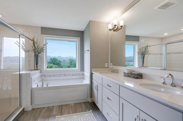 14778 50th St NE, Saint Michael, MN 55376 - bathroom with healthy amount of natural light, a bath, a stall shower, double vanity, and recessed lighting