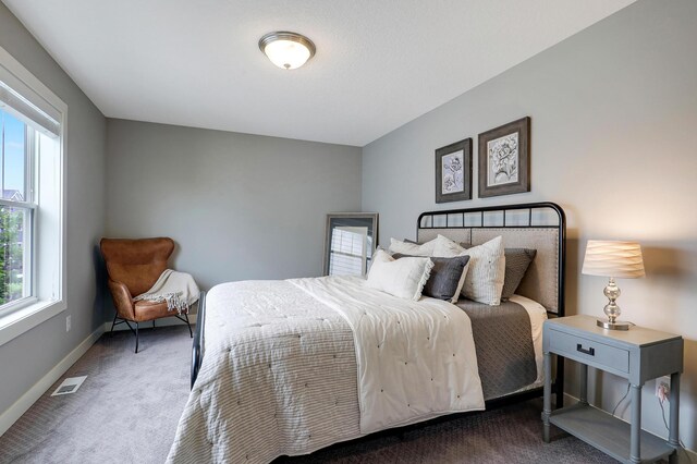 14778 50th St NE, Saint Michael, MN 55376 - bedroom featuring multiple windows, carpet flooring, and baseboards
