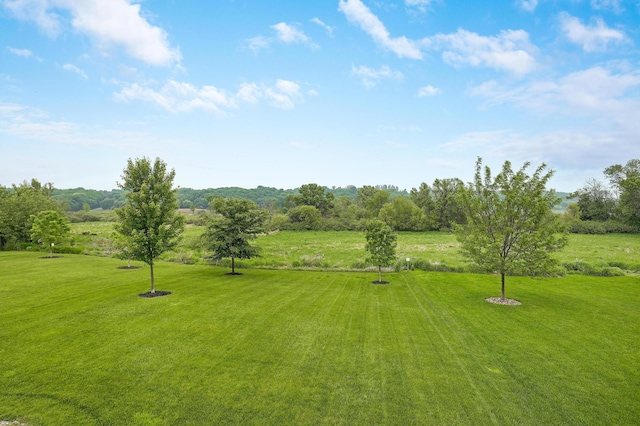14778 50th St NE, Saint Michael, MN 55376 - view of grassy yard