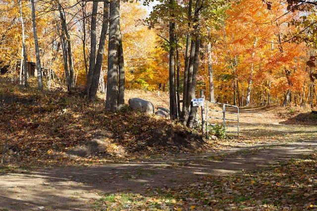 1910 Longwood Point Rd NE, Outing, MN 56662 - view of yard featuring a view of trees and a gate