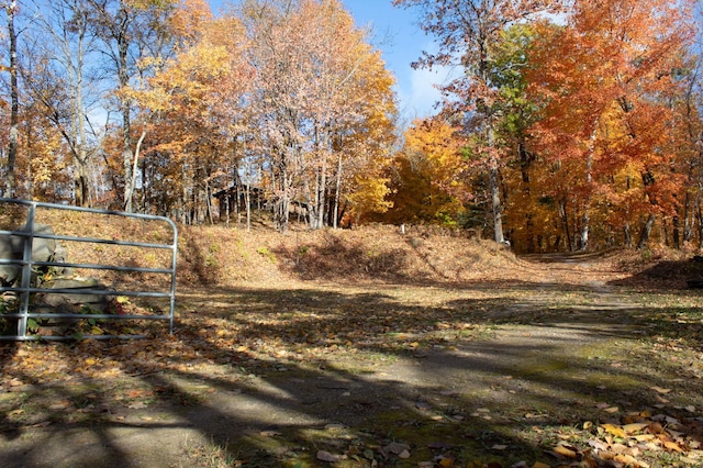 1910 Longwood Point Rd NE, Outing, MN 56662 - view of road with a gate and a gated entry