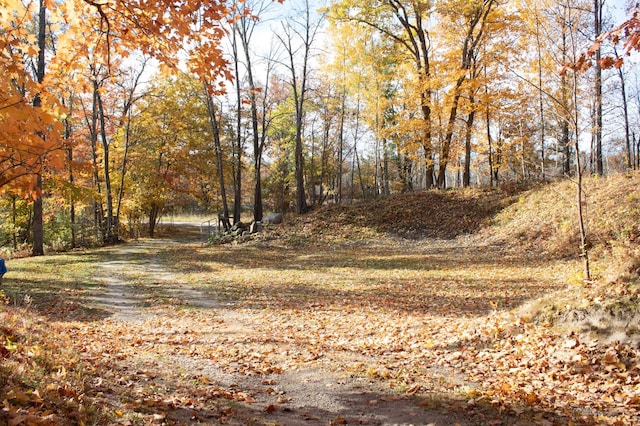 1910 Longwood Point Rd NE, Outing, MN 56662 - view of yard