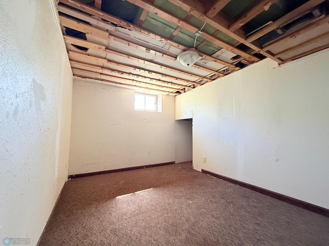 basement featuring carpet floors